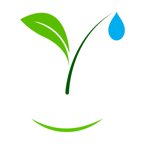 Organic Dew